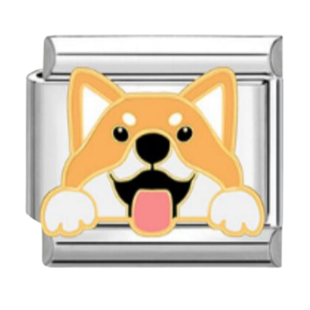 Shiba Inu